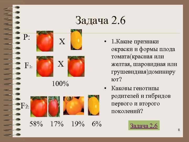    Задача 2. 6 Р:   Х    •