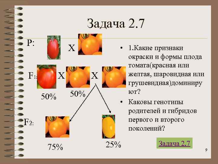     Задача 2. 7 Р:    Х  •