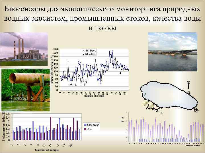 Биосенсоры для экологического мониторинга природных водных экосистем, промышленных стоков, качества воды и почвы N