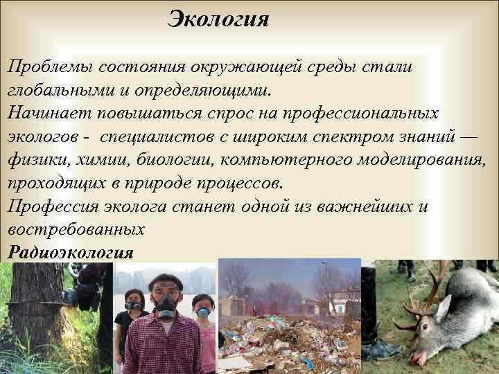 Экология Проблемы состояния окружающей среды стали глобальными и определяющими. Начинает повышаться спрос на профессиональных