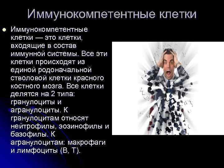   Иммунокомпетентные клетки l  Иммунокомпетентные клетки — это клетки,  входящие в