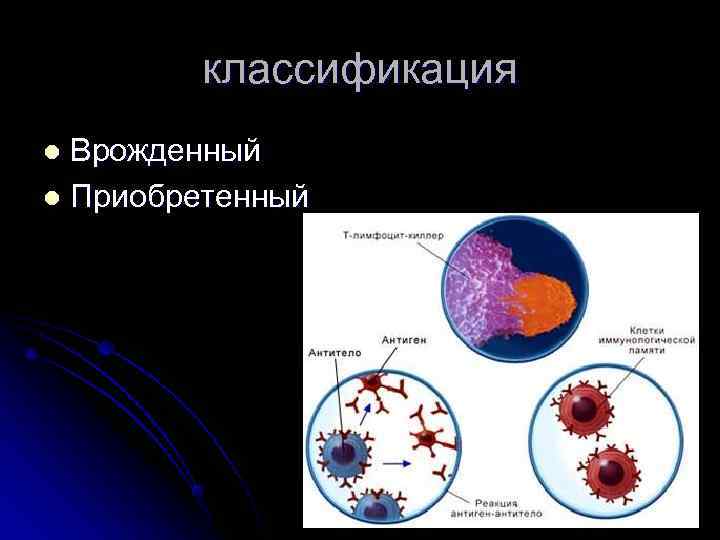    классификация l Врожденный l Приобретенный 
