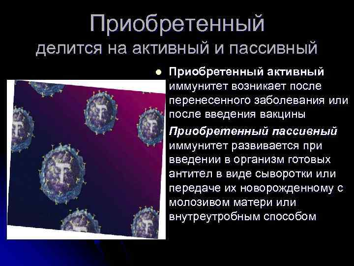  Приобретенный делится на активный и пассивный   l  Приобретенный активный 