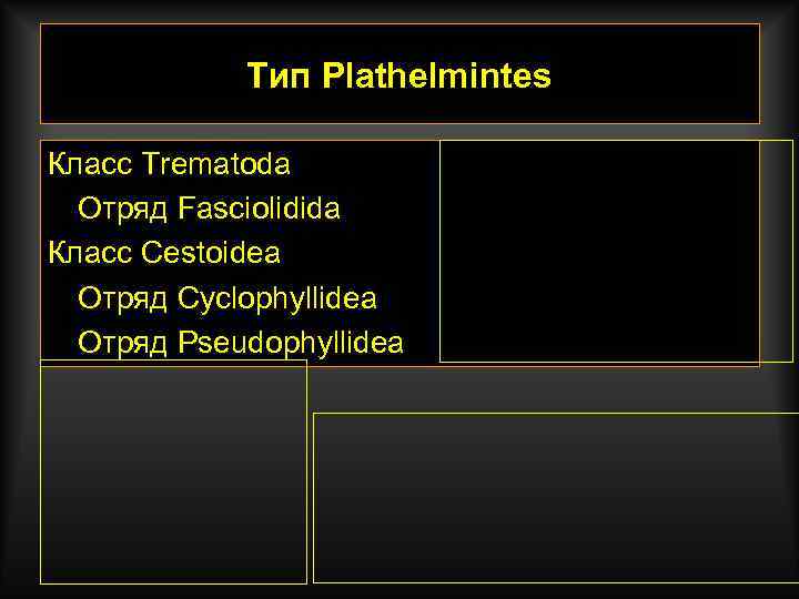   Тип Plathelmintes Класс Trematoda  Отряд Fasciolidida Класс Cestoidea  Отряд Cyclophyllidea