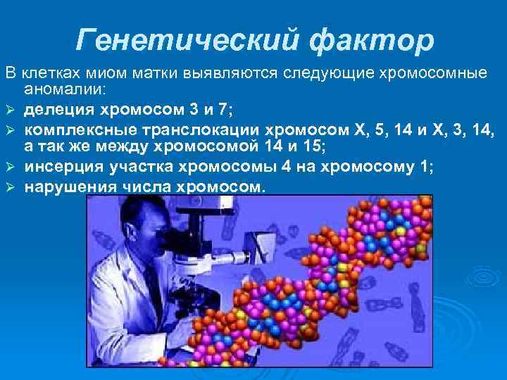   Генетический фактор В клетках миом матки выявляются следующие хромосомные  аномалии: Ø