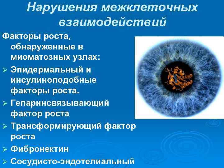   Нарушения межклеточных   взаимодействий Факторы роста,  обнаруженные в  миоматозных