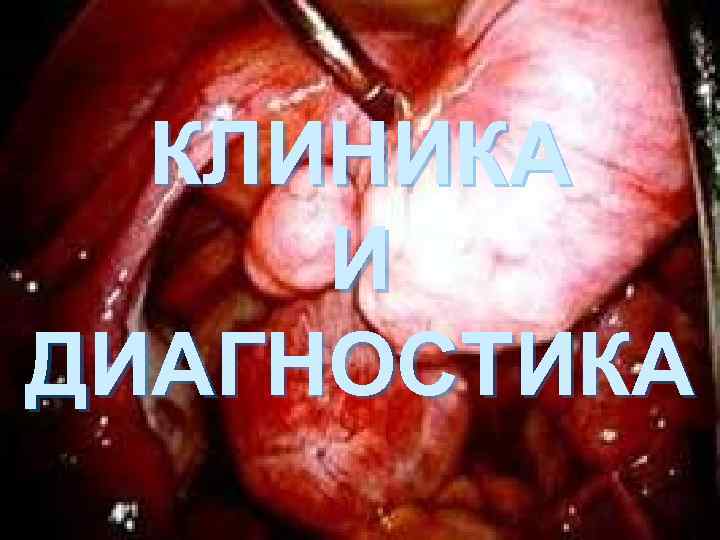  КЛИНИКА И ДИАГНОСТИКА 
