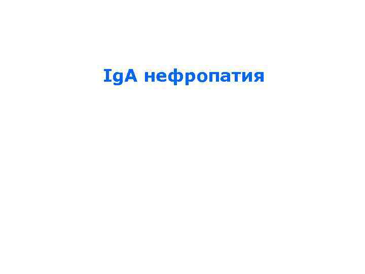 Ig. A нефропатия 