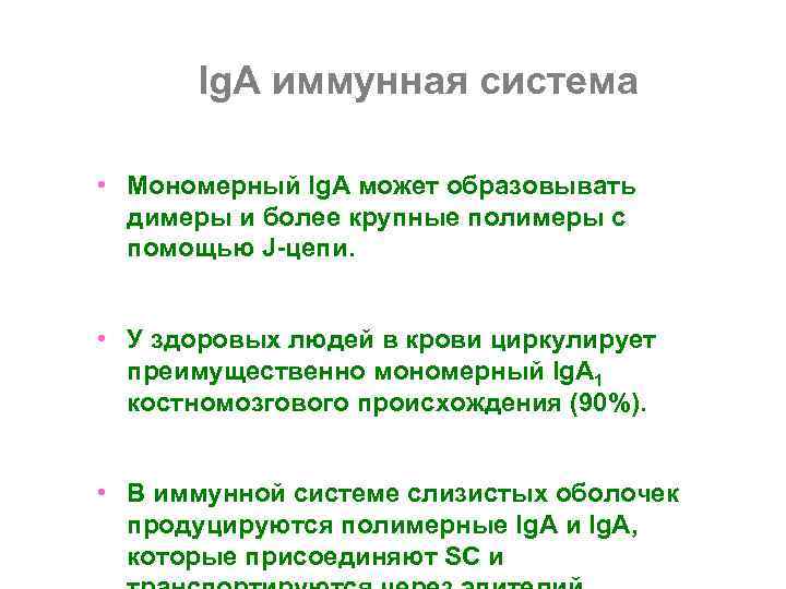  Ig. А иммунная система  • Мономерный Ig. A может образовывать  димеры