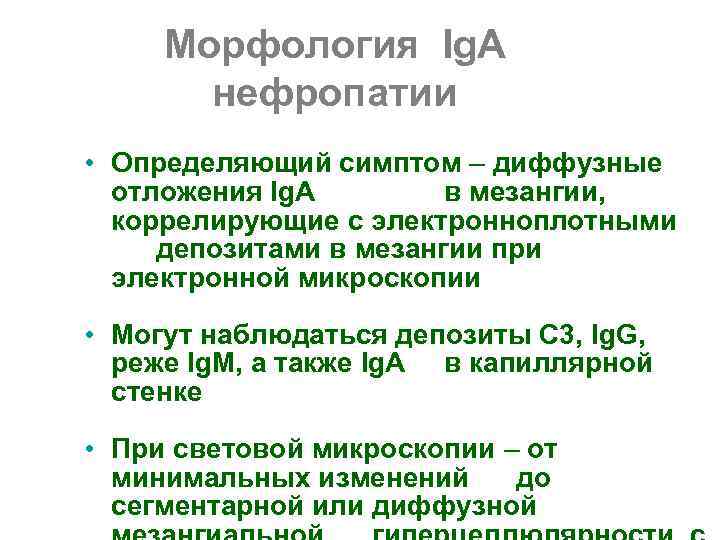  Морфология Ig. А  нефропатии • Определяющий симптом – диффузные  отложения Ig.