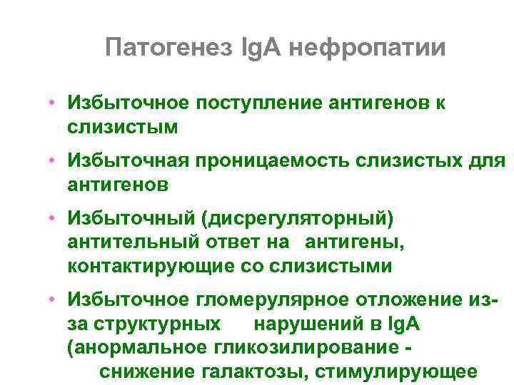  Патогенез Ig. A нефропатии  • Избыточное поступление антигенов к  слизистым •