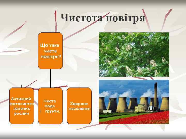 Чистота повітря Що таке чисте повітря? Активний фотосинтез зелених рослин Чиста вода І ґрунти.