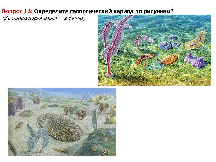 Вопрос 16: Определите геологический период по рисункам? (За правильный ответ – 2 балла) 