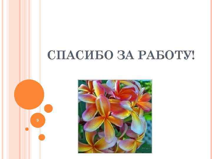   СПАСИБО ЗА РАБОТУ! 9 