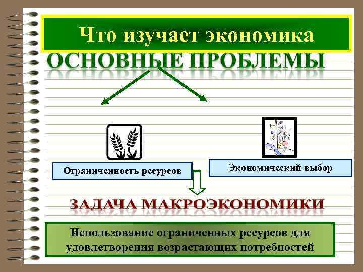   Что изучает экономика Ограниченность ресурсов  Экономический выбор Использование ограниченных ресурсов для