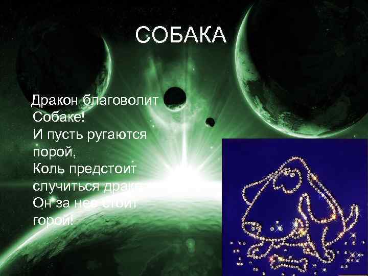     СОБАКА  Дракон благоволит Собаке! И пусть ругаются порой, Коль