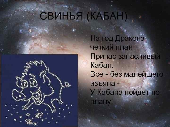 СВИНЬЯ (КАБАН)   На год Дракона  четкий план  Припас запасливый 