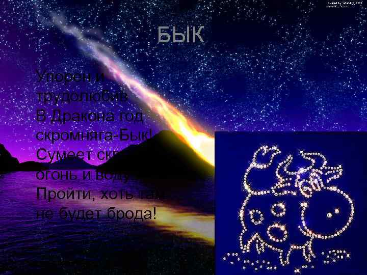    БЫК Упорен и трудолюбив В Дракона год скромняга-Бык! Сумеет сквозь огонь