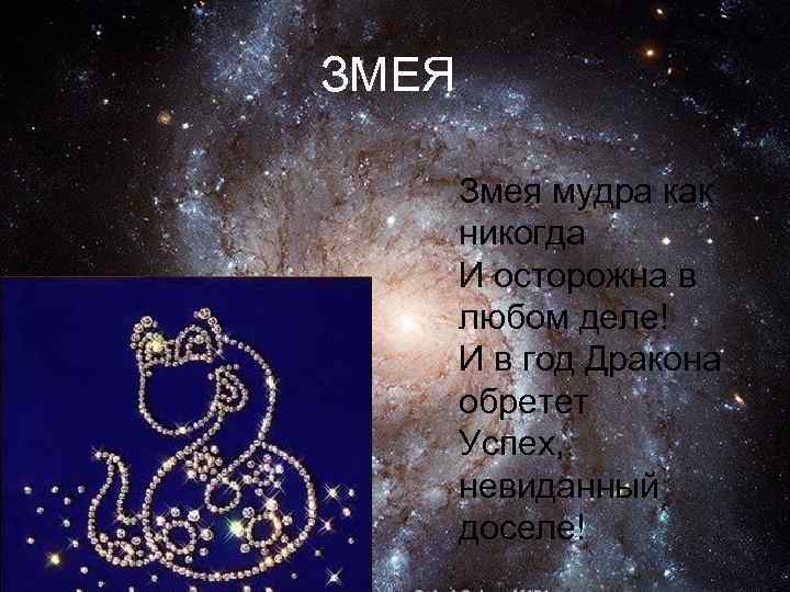 2012 год какой зодиак. 2012 Год знак зодиака. 2012 Год знак зодиака года. Знаки зодиака 2012г. Знаки зодиака презентация.