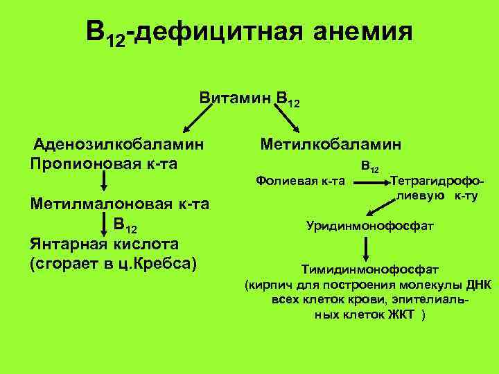 В 12 -дефицитная анемия Витамин В 12 Аденозилкобаламин Метилкобаламин В 12 -дефицитная анемия Витамин В 12 Аденозилкобаламин Метилкобаламин