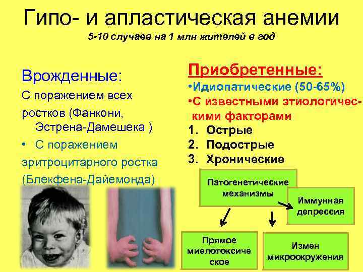 Гипо- и апластическая анемии 5 -10 случаев на 1 млн жителей в год Гипо- и апластическая анемии 5 -10 случаев на 1 млн жителей в год
