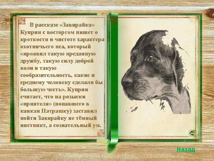 . . . После Хозяина всех ближе моему собачьему сердцу Маленькая - так я