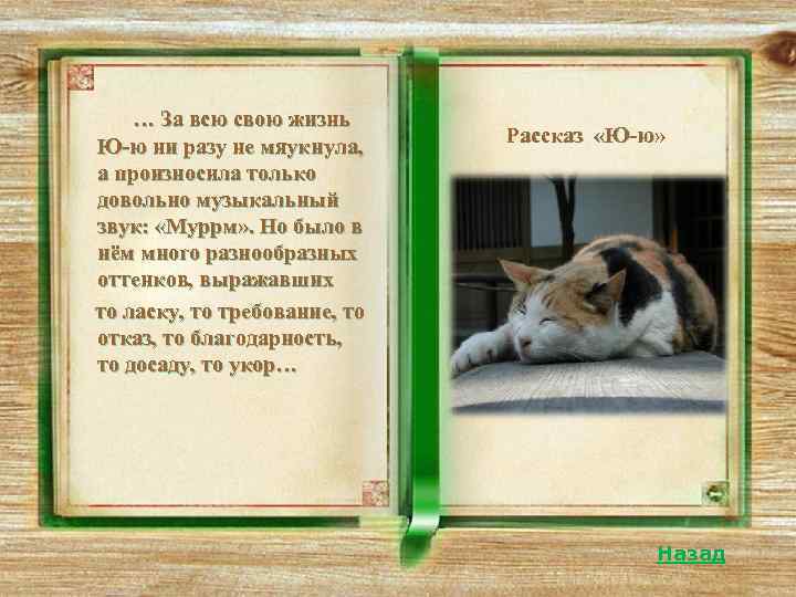  …Между ним и Жулькой    Рассказ царствовало редкое согласие и «Барбос