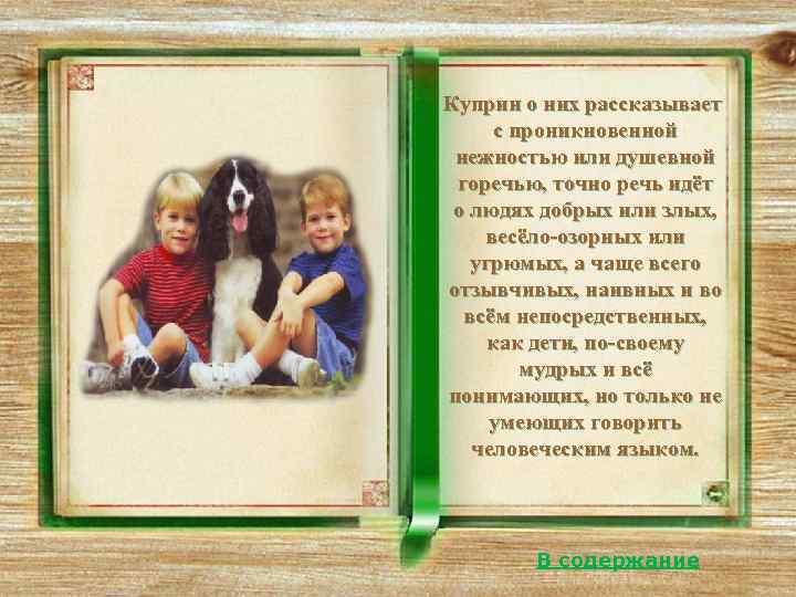   Автор презентации  Нефёдова    Евгения Николаевна,   