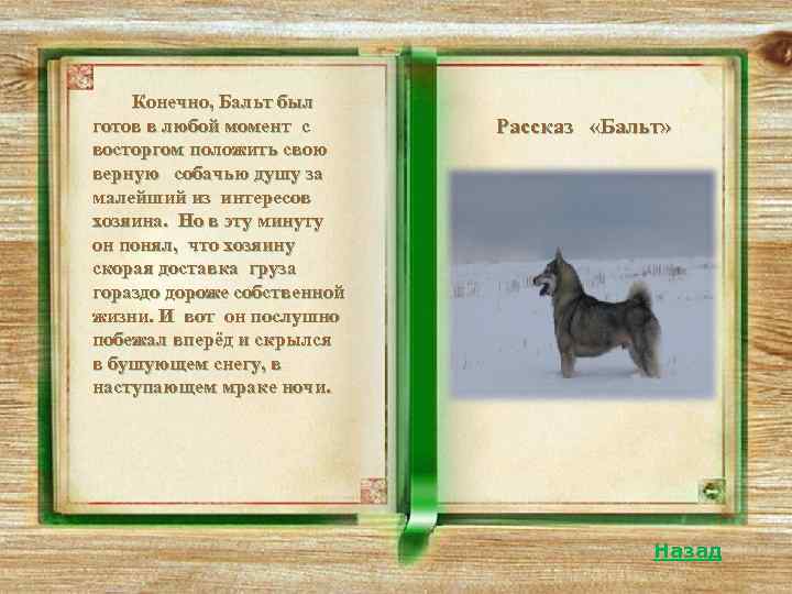   В рассказе «Завирайка» Куприн с восторгом пишет о кроткости и чистоте характера