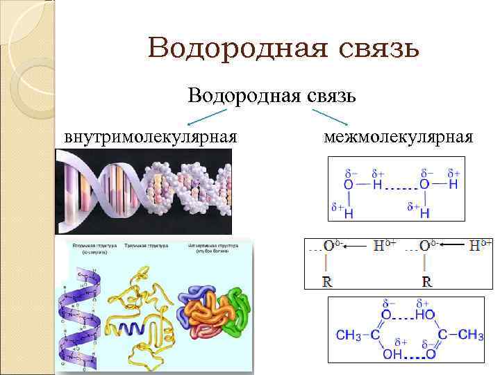 Водородная связь внутримолекулярная межмолекулярная 