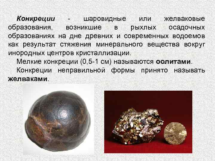 Конкреции шаровидные или желваковые образования, возникшие в рыхлых осадочных образованиях на дне древних и