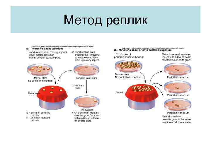 Метод реплик 