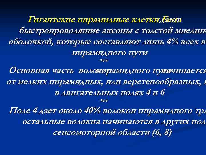   Гигантские пирамидные клетки дают       Беца 