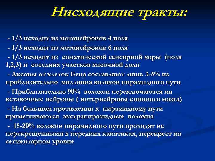   Нисходящие тракты:  - 1/3 исходит из мотонейронов 4 поля - 1/3
