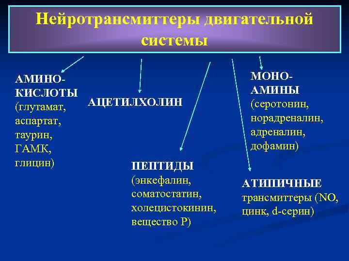   Нейротрансмиттеры двигательной    системы АМИНО-     МОНО-