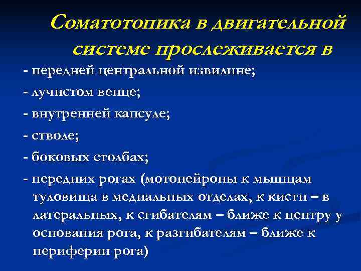   Соматотопика в двигательной системе прослеживается в - передней центральной извилине; - лучистом
