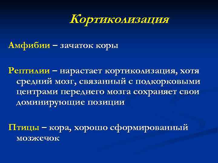   Кортиколизация Амфибии – зачаток коры Рептилии – нарастает кортиколизация, хотя средний мозг,