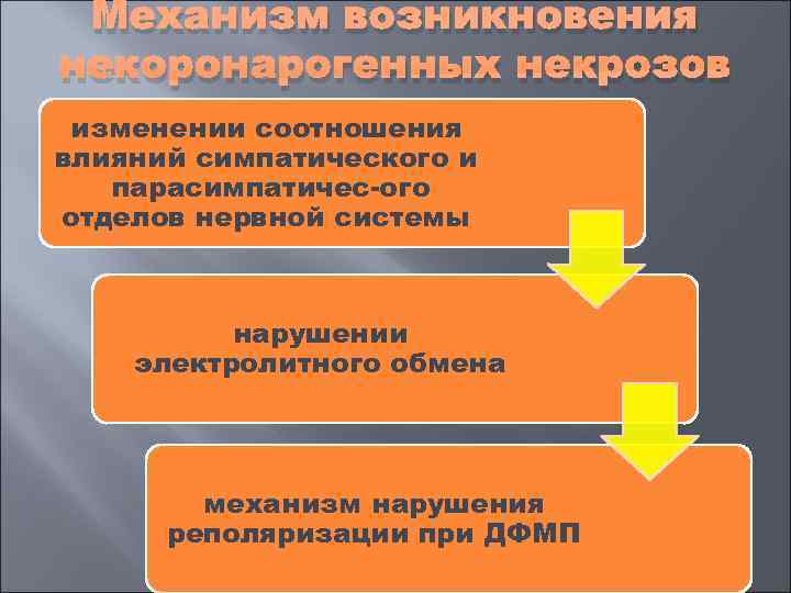  Механизм возникновения некоронарогенных некрозов изменении соотношения влияний симпатического и  парасимпатичес ого отделов
