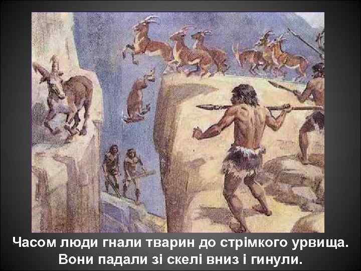 Часом люди гнали тварин до стрімкого урвища. Вони падали зі скелі вниз і гинули.