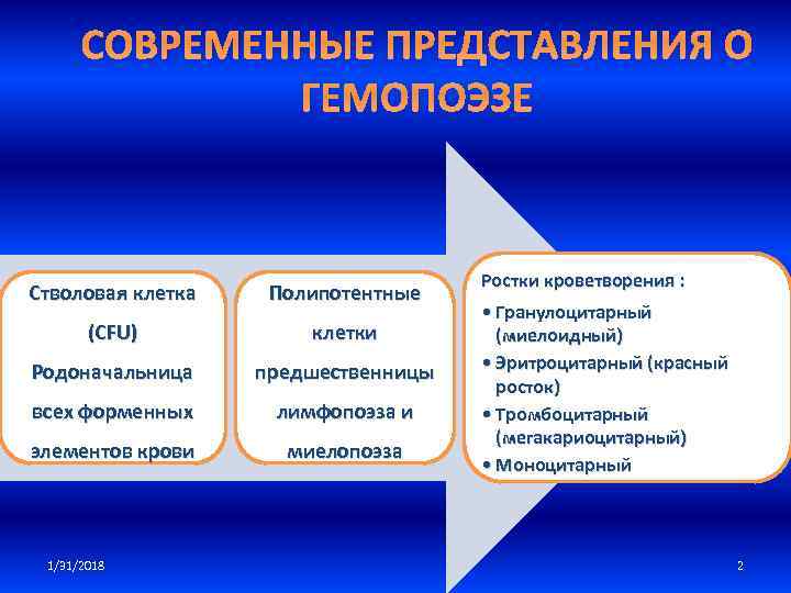 СОВРЕМЕННЫЕ ПРЕДСТАВЛЕНИЯ О ГЕМОПОЭЗЕ Стволовая клетка Полипотентные (CFU) клетки Родоначальница предшественницы всех форменных лимфопоэза