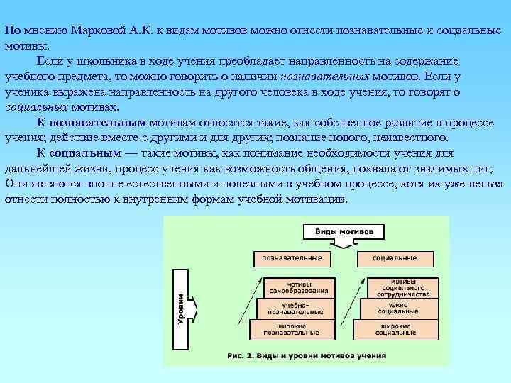 По мнению Марковой А. К. к видам мотивов можно отнести познавательные и социальные мотивы.