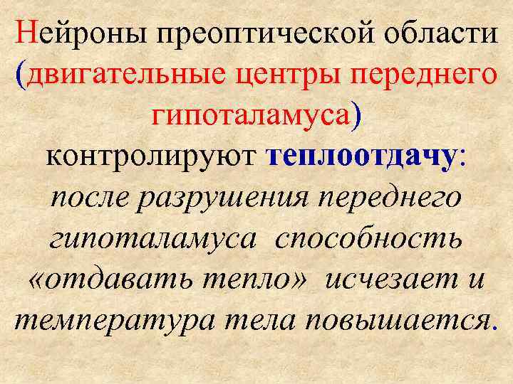 Нейроны преоптической области (двигательные центры переднего  гипоталамуса)  контролируют теплоотдачу: после разрушения переднего