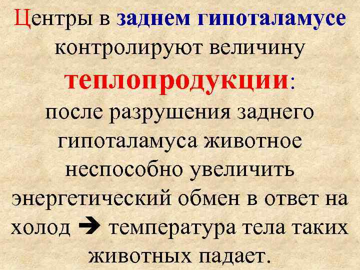 Центры в заднем гипоталамусе контролируют величину  теплопродукции: после разрушения заднего гипоталамуса животное 