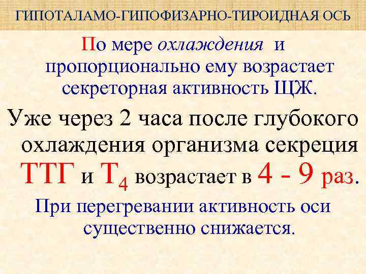 ГИПОТАЛАМО-ГИПОФИЗАРНО-ТИРОИДНАЯ ОСЬ   По мере охлаждения и пропорционально ему возрастает  секреторная активность