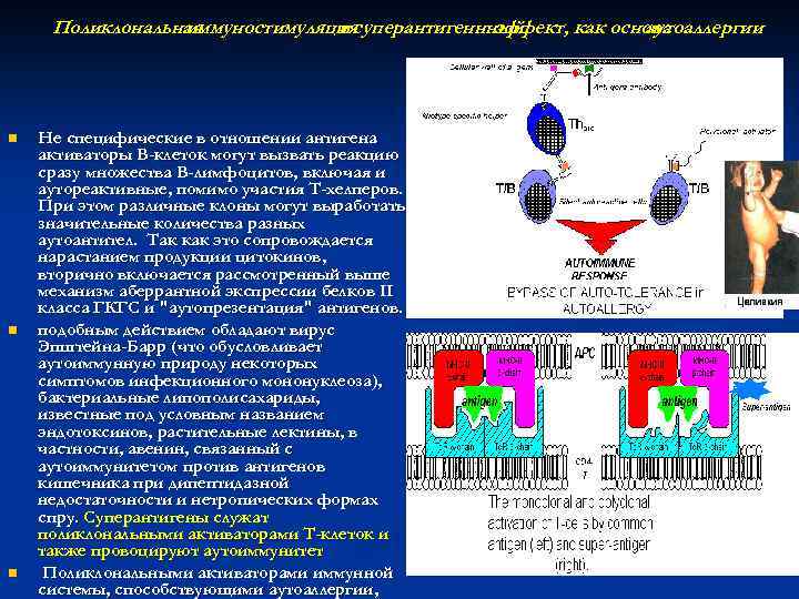  Поликлональная   иммуностимуляция      и суперантигеннный  