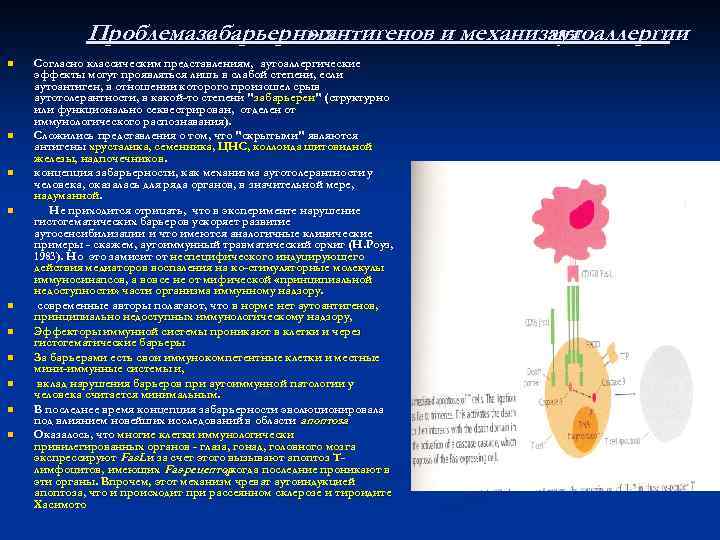    Проблемазабарьерных    «  » антигенов и механизмы 