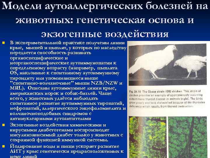 Разнообразие аутоаллергии 