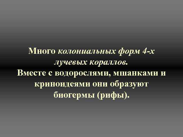  Много колониальных форм 4 -х   лучевых кораллов. Вместе с водорослями, мшанками