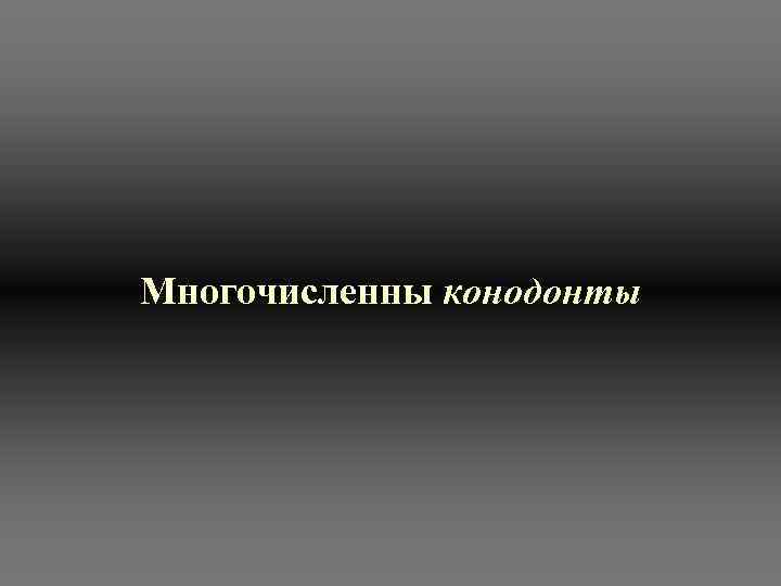 Многочисленны конодонты 