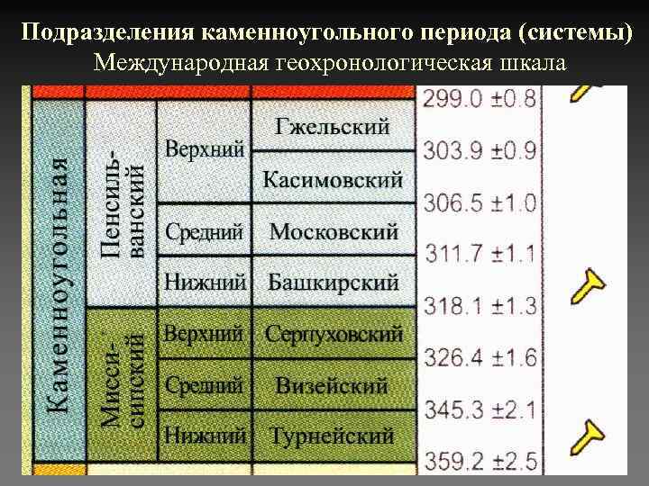 Подразделения каменноугольного периода (системы)  Международная геохронологическая шкала 